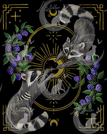 Raccoon Ritual